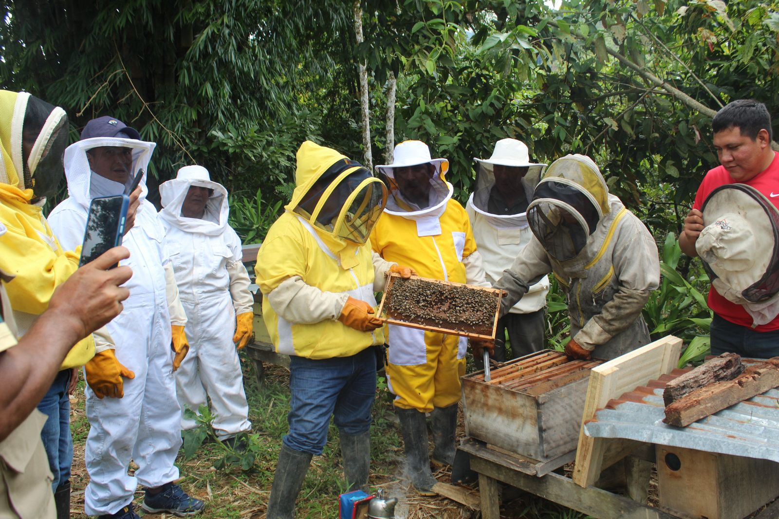 En la localidad de Piscoyacu, distrito y provincia de Huallaga, se desarrolló la capacitación sobre “Crianza de reina y formación de cámara de cría ciega de abejas Apis mellifera con la técnica de mínima perturbación”