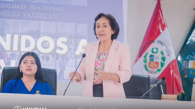 Dra. Nancy Veramendi Villavicencios, vicerrectora académica de la UNHEVAL