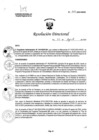 Vista preliminar de documento R.D. 900-2024