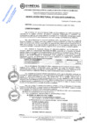 Vista preliminar de documento RES.RECT. N° 0302-2025-UNHEVAL-m