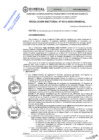Vista preliminar de documento RES.RECT. N° 0313-2025-UNHEVAL-m
