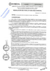 Vista preliminar de documento RES.RECT. N° 0304-2025-UNHEVAL-m