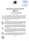 Vista preliminar de documento RGGR 119-2025-GRL-GGR