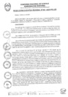 Vista preliminar de documento RER0041-2025