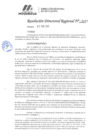 Vista preliminar de documento 099 2025