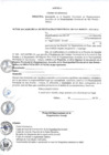 Vista preliminar de documento ANEXOS