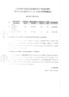 Vista preliminar de documento resultado final