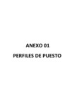 Vista preliminar de documento Perfiles CAS