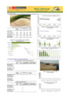 Vista preliminar de documento Boletín de ARROZ - 05/06/20