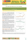 Vista preliminar de documento Boletín de Abastecimiento y Precios Mayoristas GMML y MM Nº2 -05/06/20