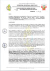 Vista preliminar de documento RESOLUCION N 222