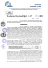 Vista preliminar de documento Resolucion Directoral N° 002675-2025
