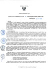 Vista preliminar de documento ra20