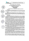 Vista preliminar de documento PLAN DE ACCION SEGURIDAD CIUDADANA