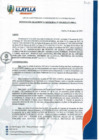 Vista preliminar de documento RGM N°39-2025_0001