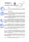 Vista preliminar de documento 00934 RDR 2024 RECONFORMAR EL COMITE PARA LA ENCARGATURA DE PROFESORES EN AREAS DE DESEMPEÑO LABORAL DE LA DRE HUANUCO