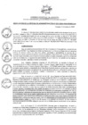 Vista preliminar de documento ROA_021_2025