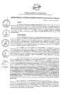 Vista preliminar de documento ROA_020_2025