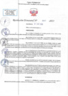 Vista preliminar de documento RD N 00501