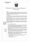 Vista preliminar de documento RGGR 0165-2025-GRA/GGR