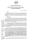 Vista preliminar de documento ROA_001_2025