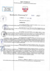 Vista preliminar de documento RD N 00525