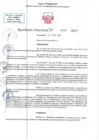 Vista preliminar de documento RD N 00538
