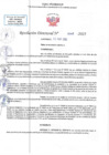 Vista preliminar de documento RD N 00548