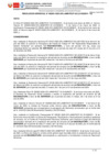 Vista preliminar de documento RG091