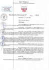Vista preliminar de documento RD N 00551