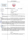 Vista preliminar de documento RD N 00553