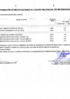 Vista preliminar de documento Anexo 6 Aprobación de Modificación al CMN N°011