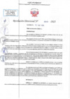 Vista preliminar de documento RD N 00565