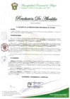 Vista preliminar de documento RESOLUCION DE ALCALDIA Nº 160-2025