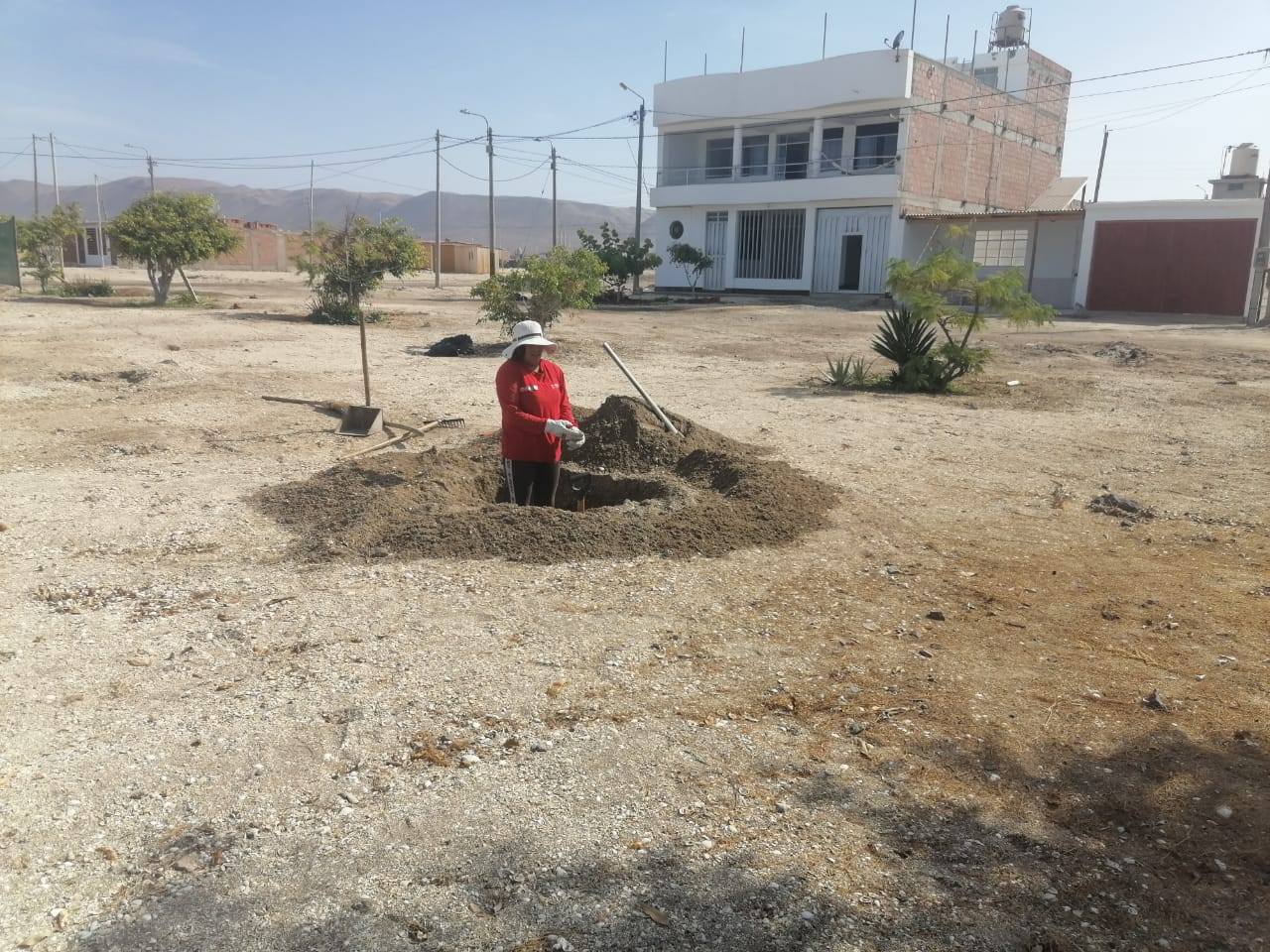 imagen areas verdes