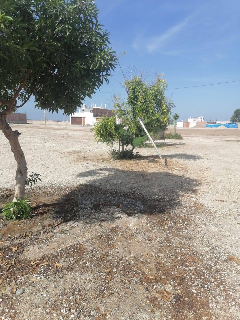 imagen areas verdes 2