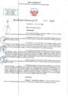 Vista preliminar de documento RD N 00575