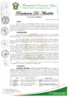 Vista preliminar de documento RESOLUCION DE ALCALDIA Nº 142-2025