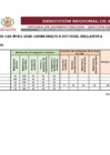 Vista preliminar de documento RESULTADOS FINALES CAS 001-2025
