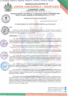 Vista preliminar de documento Ordenanza Municipal N.° 010-2025-MDUA