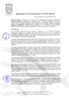 Vista preliminar de documento Resoluciòn de Gerencia Municipal Nª 030-2025