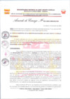 Vista preliminar de documento AC-153-2024