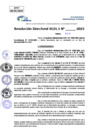 Vista preliminar de documento Resolucion Directoral N° 002689-2025