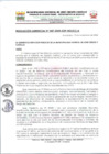 Vista preliminar de documento RG-047-2024-GSP