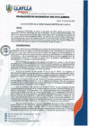 Vista preliminar de documento RA-N°89-2025_0001