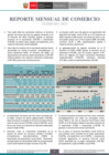 Vista preliminar de documento RMC Febrero 2025
