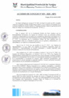 Vista preliminar de documento ACC0029-2025