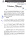 Vista preliminar de documento RD N°19-2025-GRSM-DRASAM-DTRTRyCR