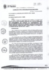 Vista preliminar de documento ACM020-2022