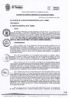 Vista preliminar de documento ACM039-2022